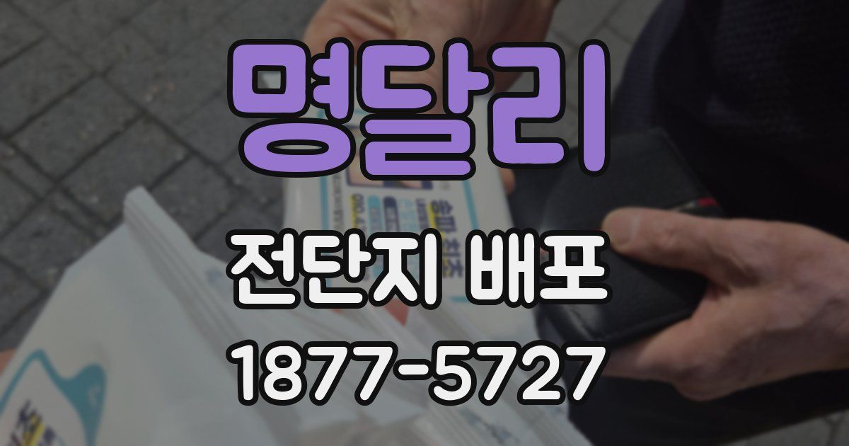명달리 전단지 배포