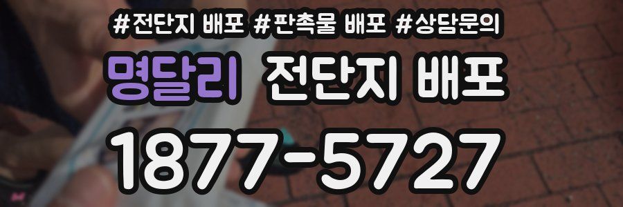 명달리 전단지 배포