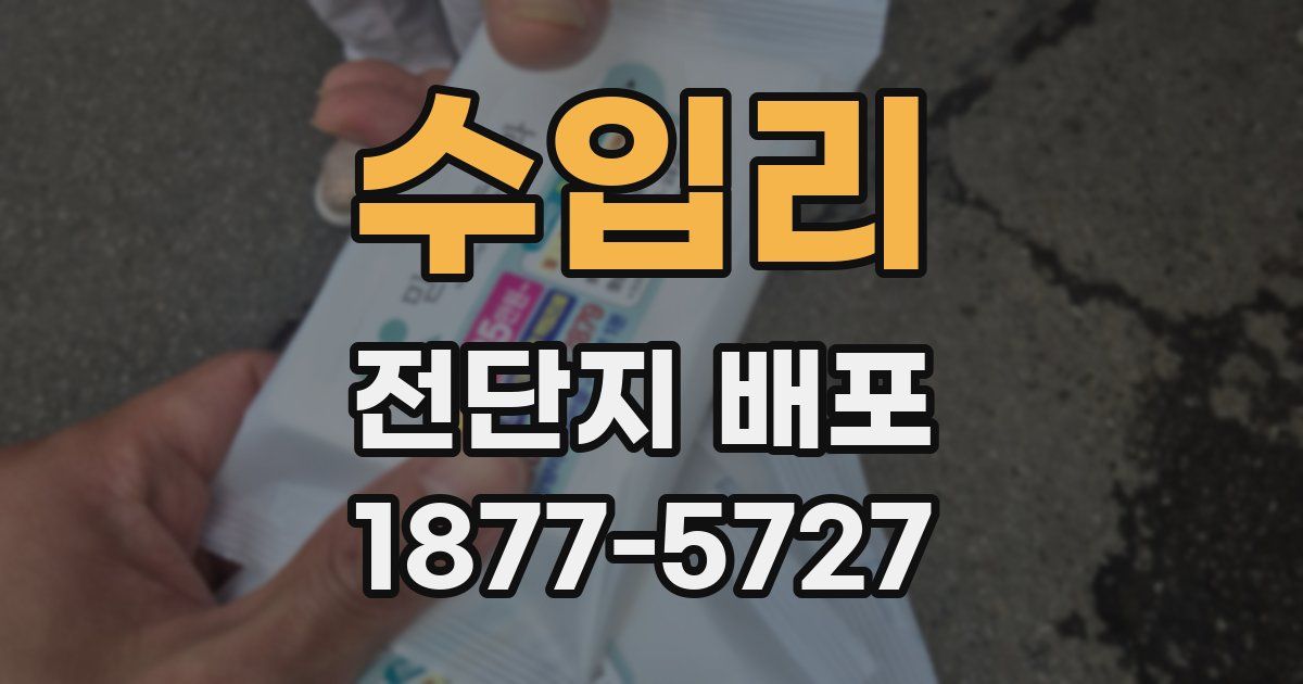 수입리 전단지 배포