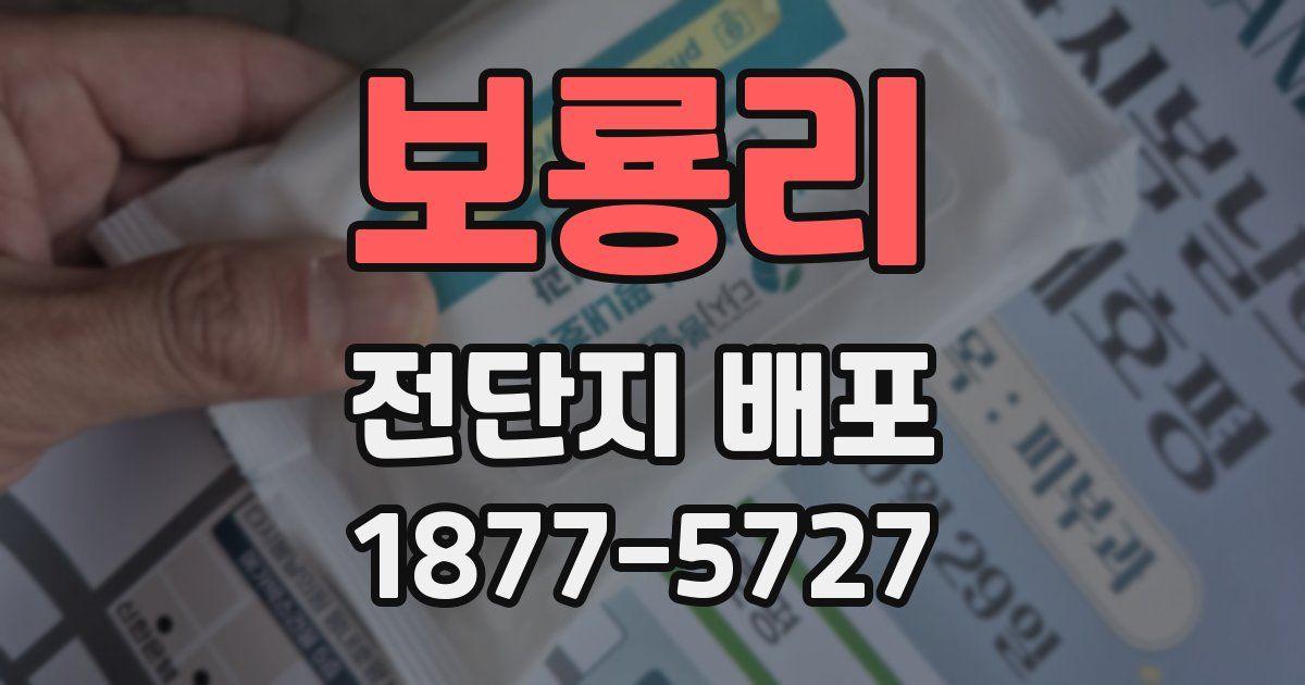 보룡리 전단지 배포