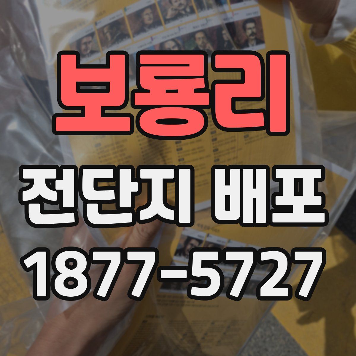 보룡리 전단지 배포