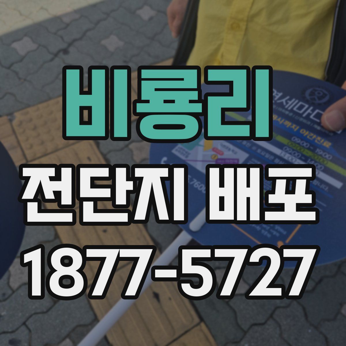 비룡리 전단지 배포