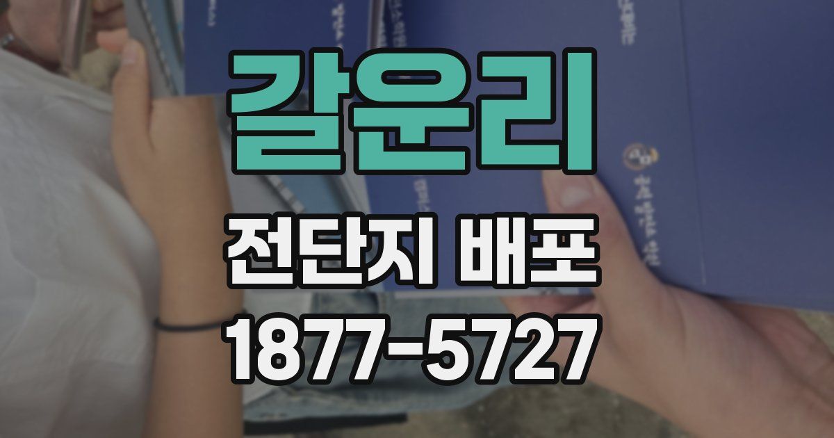 갈운리 전단지 배포