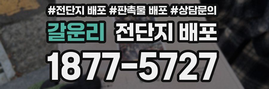 갈운리 전단지 배포