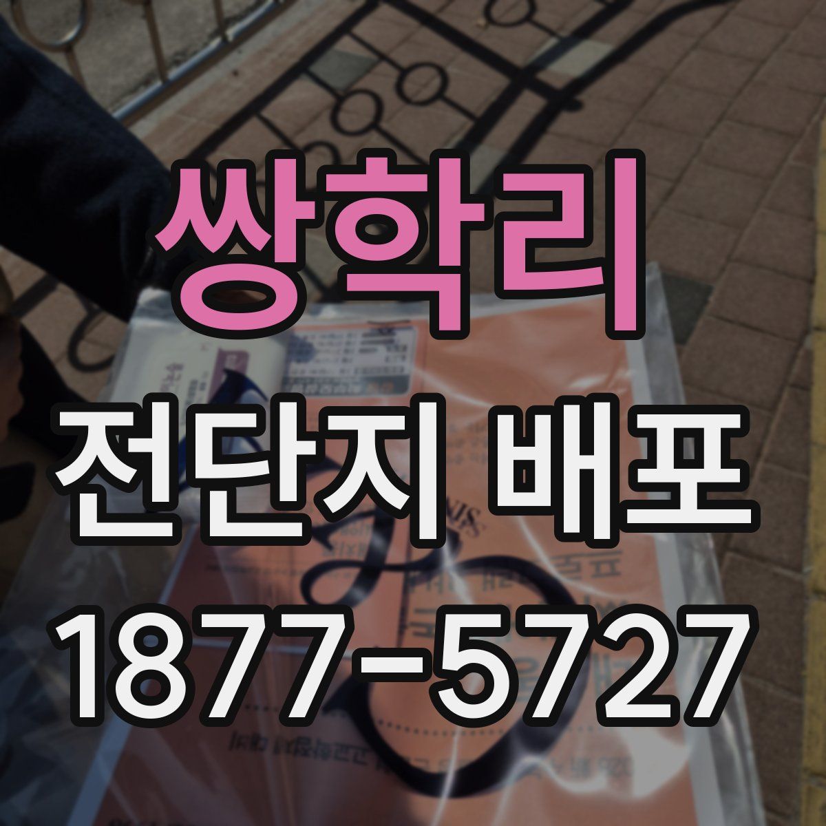 쌍학리 전단지 배포