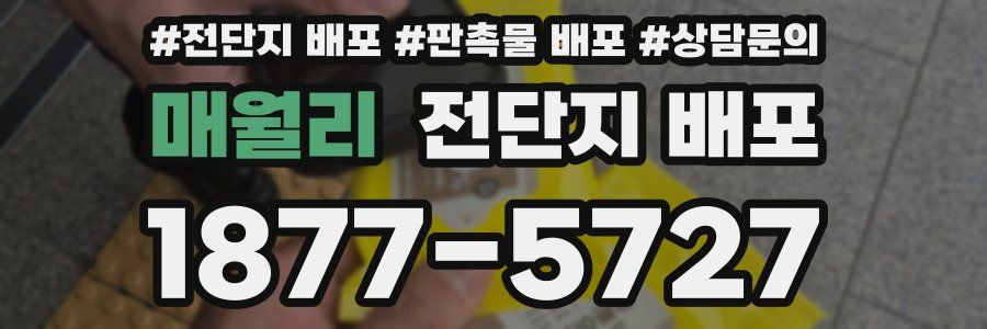 매월리 전단지 배포