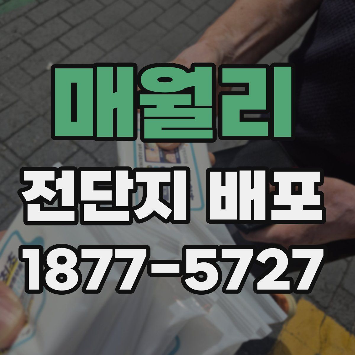 매월리 전단지 배포