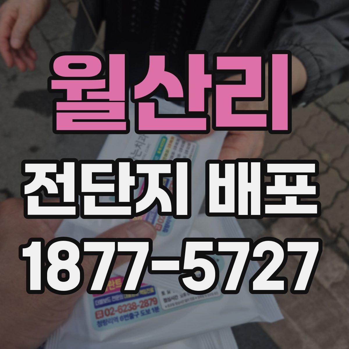 월산리 전단지 배포