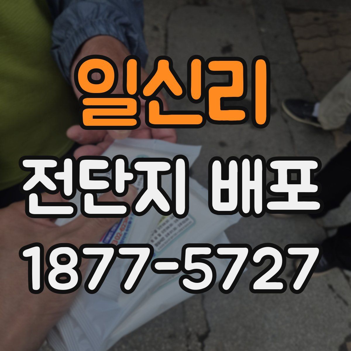 일신리 전단지 배포