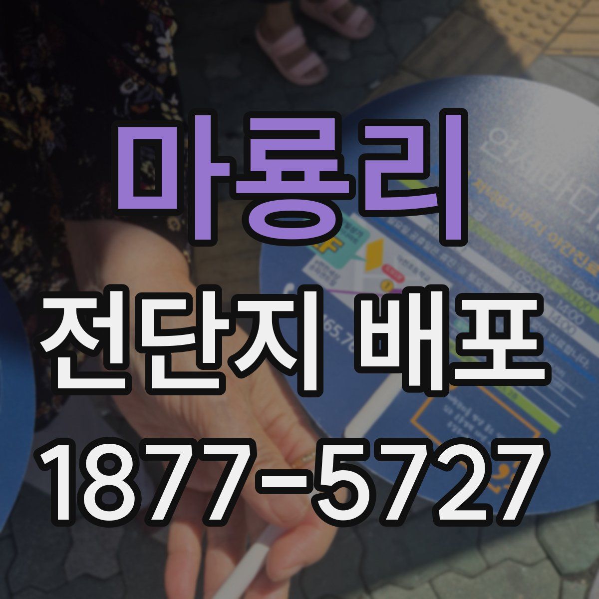 마룡리 전단지 배포