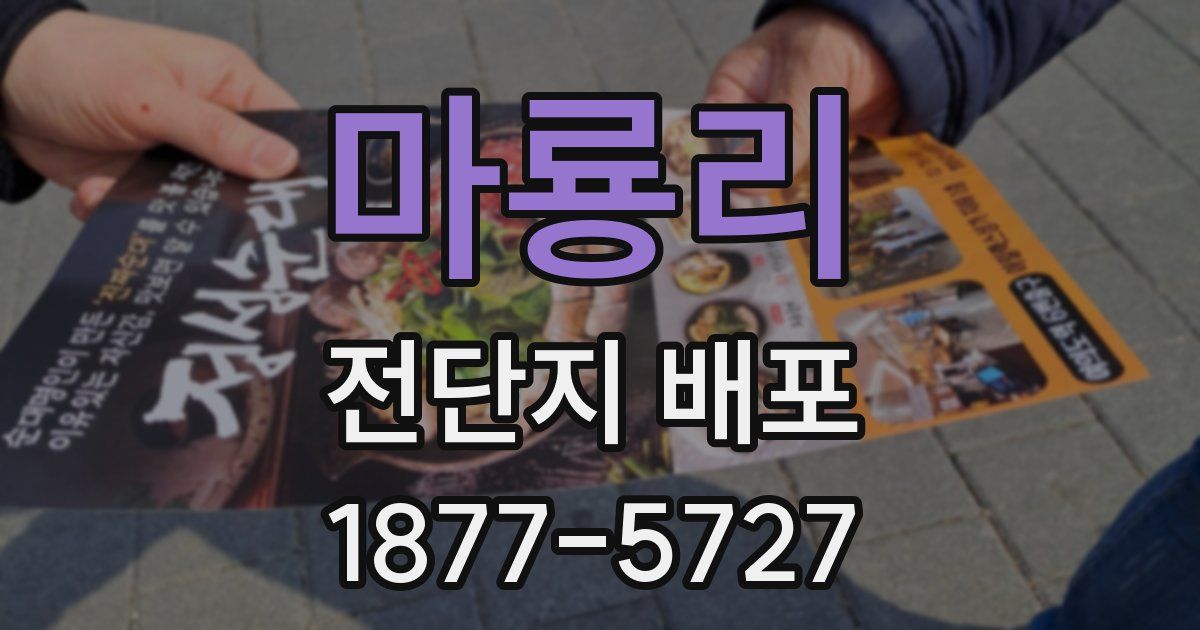 마룡리 전단지 배포