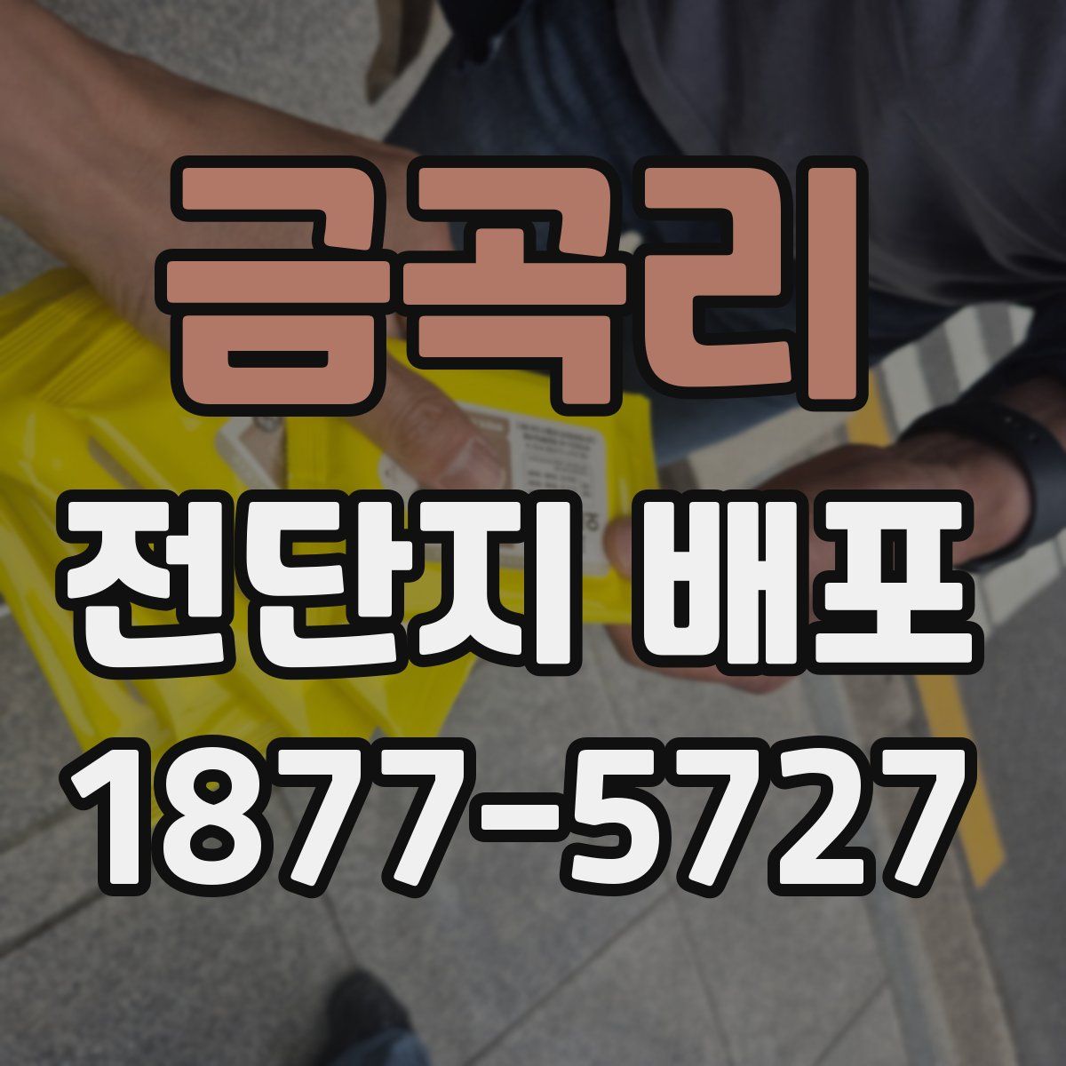 금곡리 전단지 배포