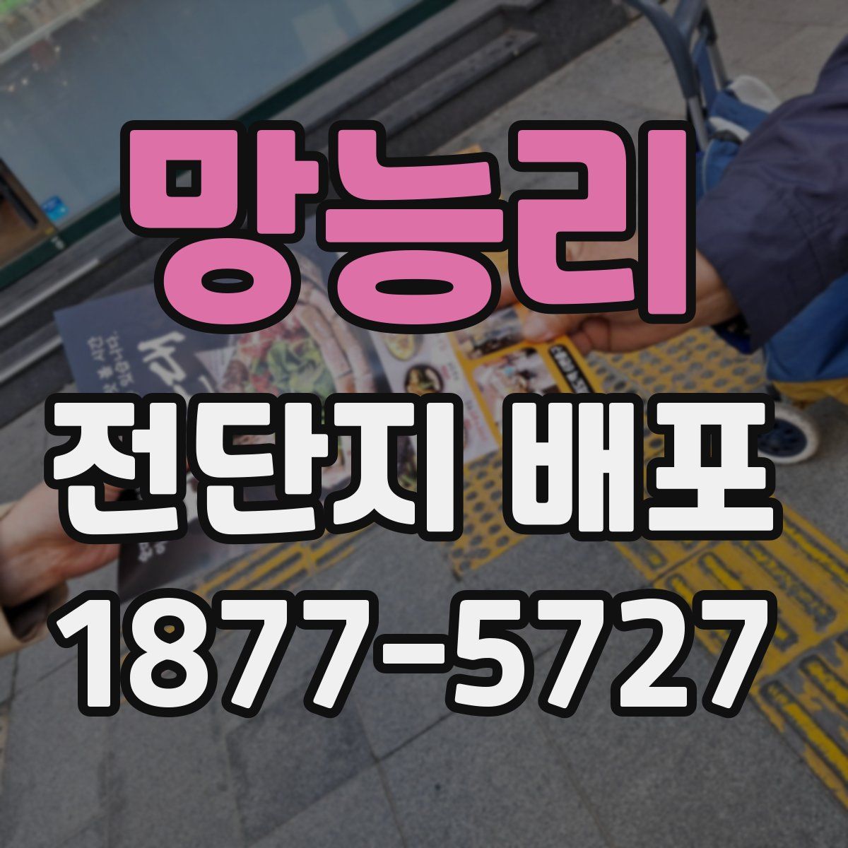 망능리 전단지 배포