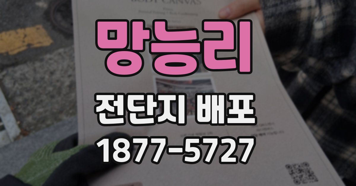 망능리 전단지 배포