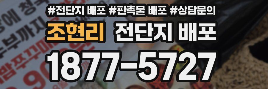조현리 전단지 배포