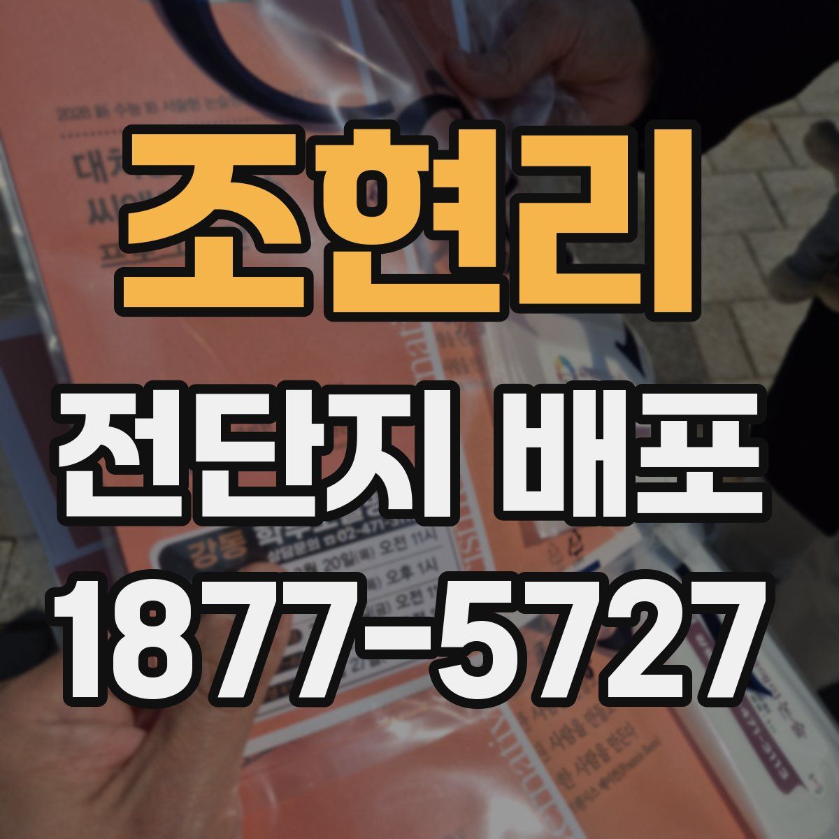 조현리 전단지 배포