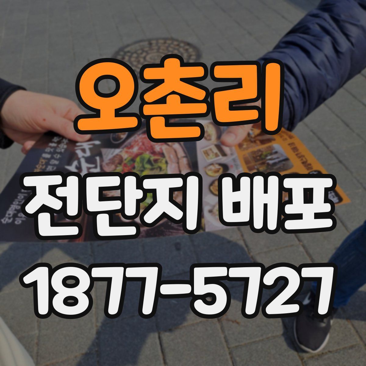 오촌리 전단지 배포