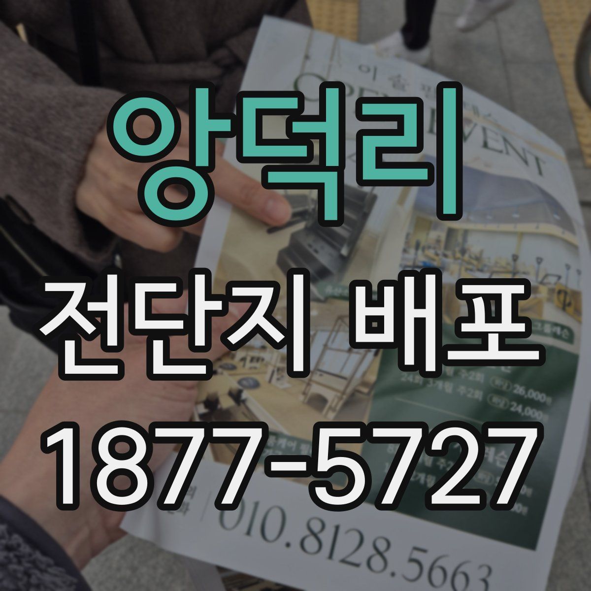 앙덕리 전단지 배포
