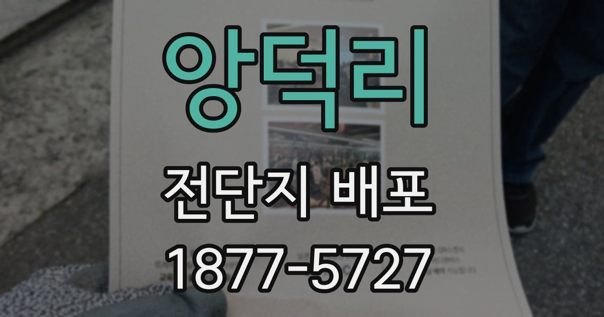앙덕리 전단지 배포