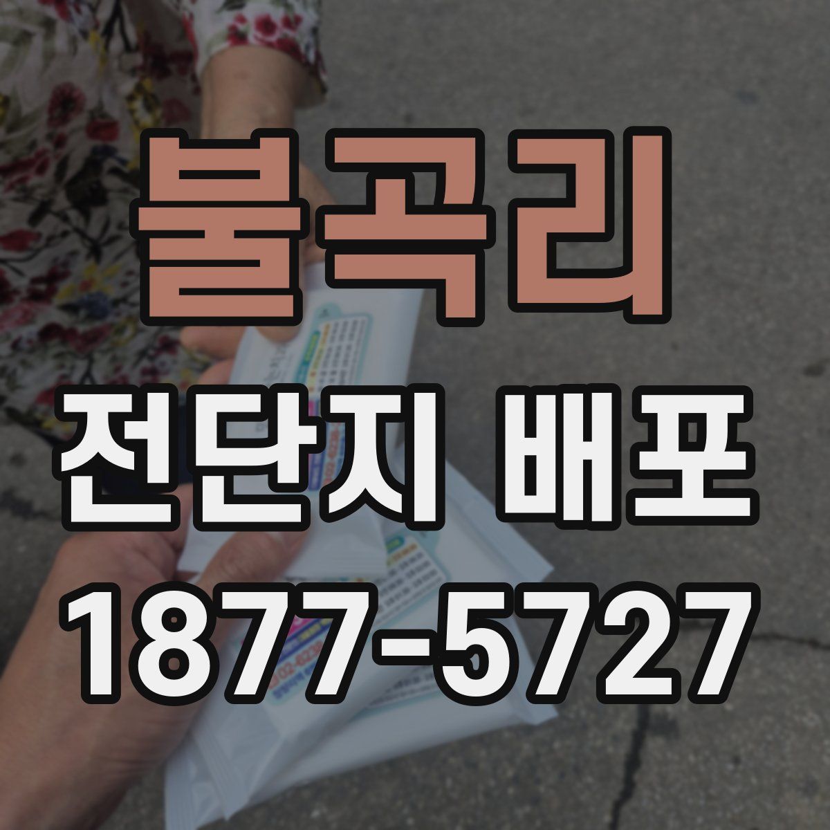불곡리 전단지 배포