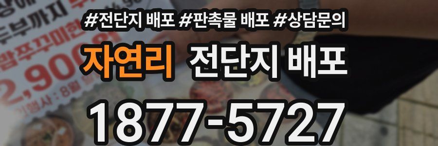 자연리 전단지 배포
