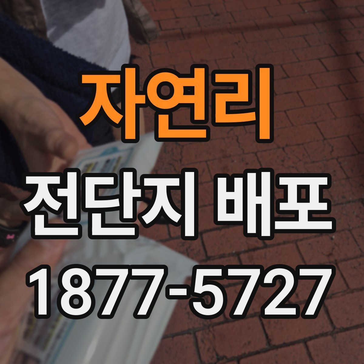자연리 전단지 배포