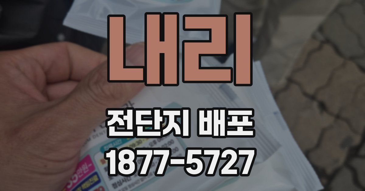 내리 전단지 배포