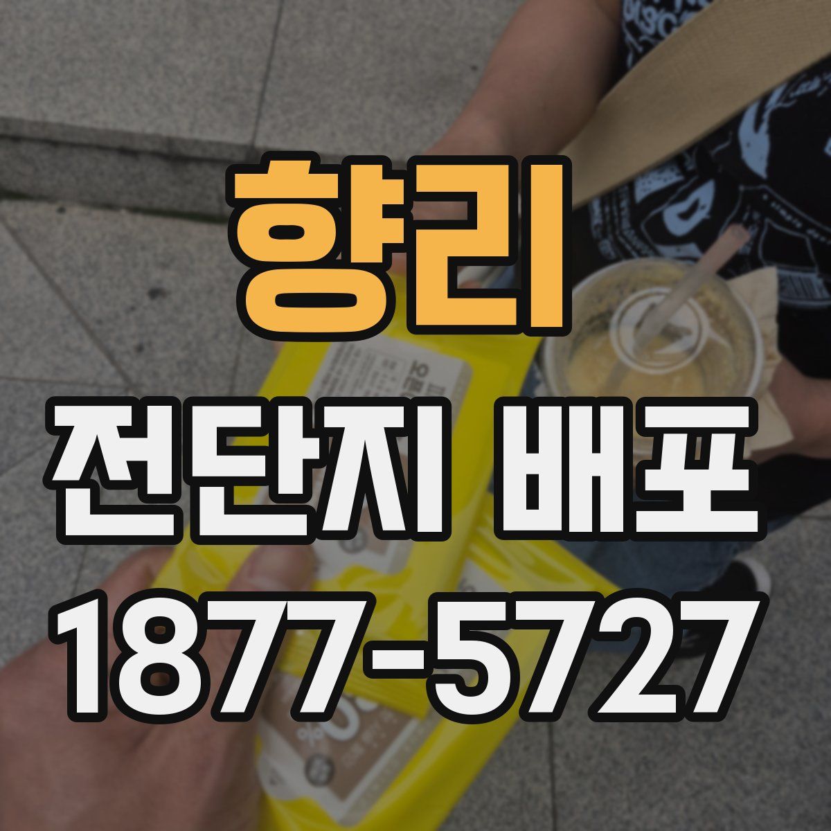 향리 전단지 배포