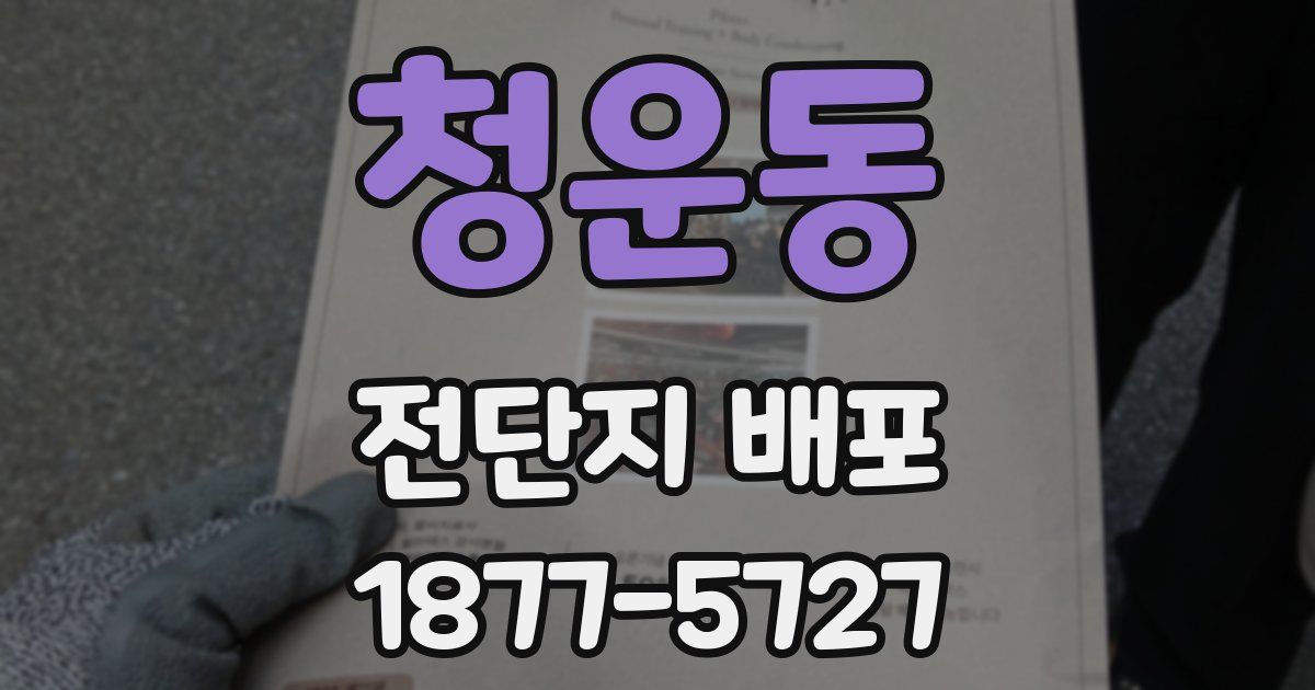 청운동 전단지 배포
