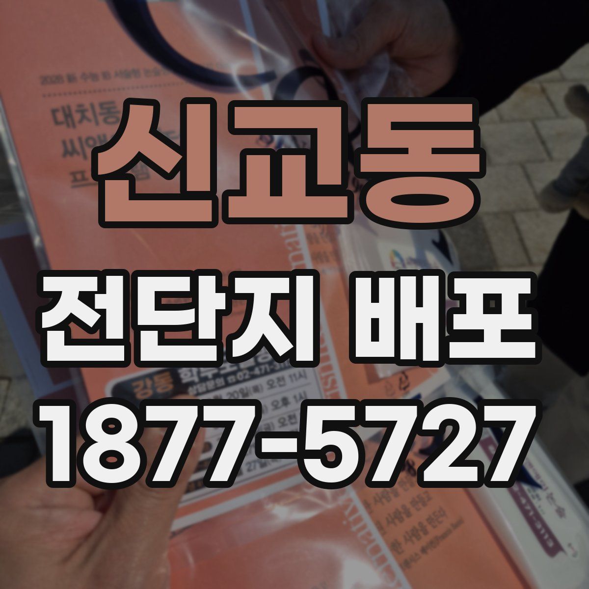 신교동 전단지 배포