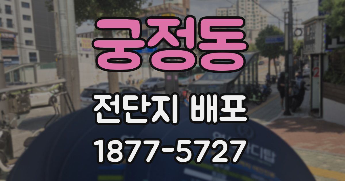 궁정동 전단지 배포