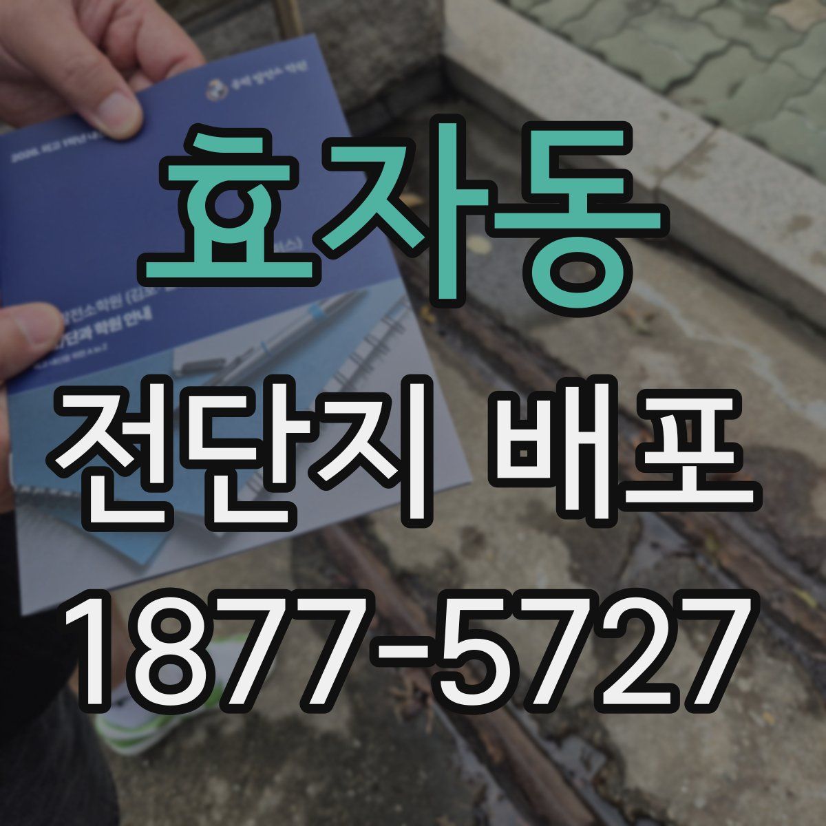 효자동 전단지 배포