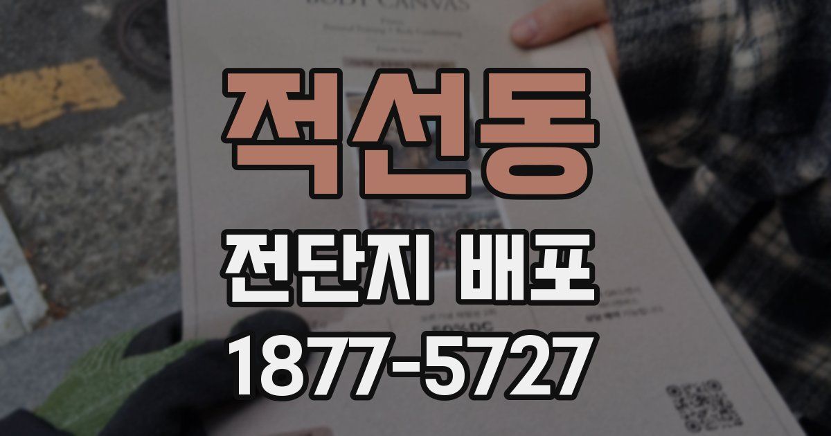 적선동 전단지 배포