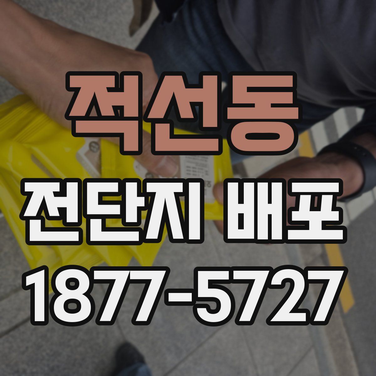 적선동 전단지 배포