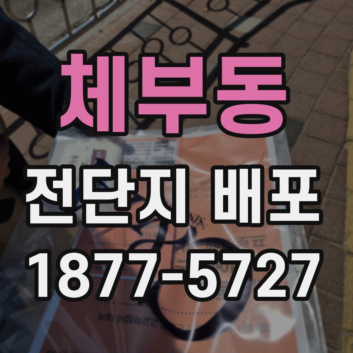 체부동 전단지 배포