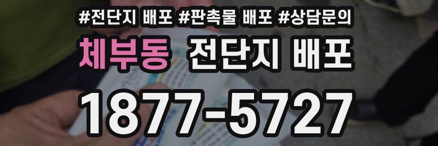 체부동 전단지 배포