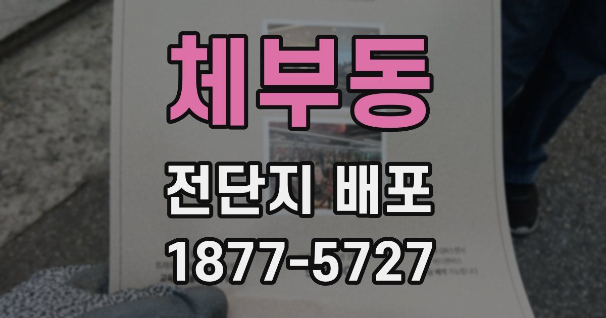 체부동 전단지 배포