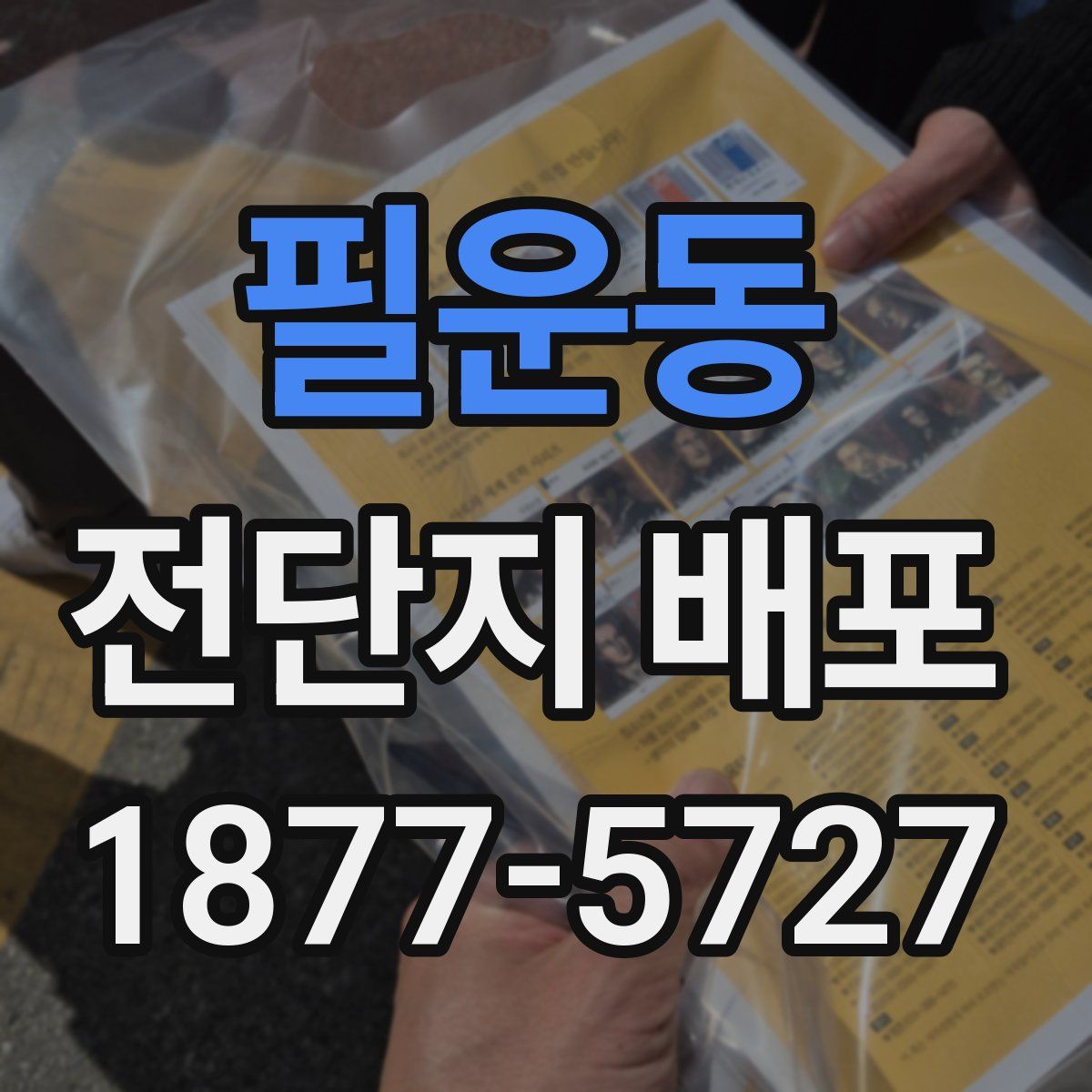 필운동 전단지 배포