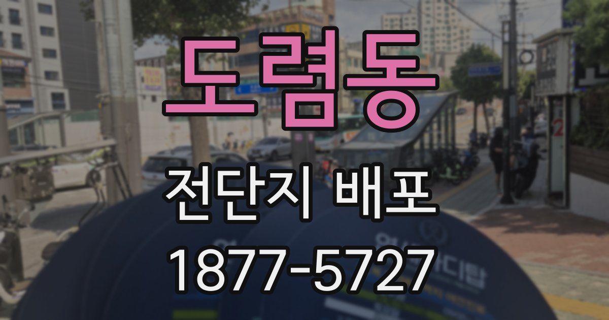 도렴동 전단지 배포