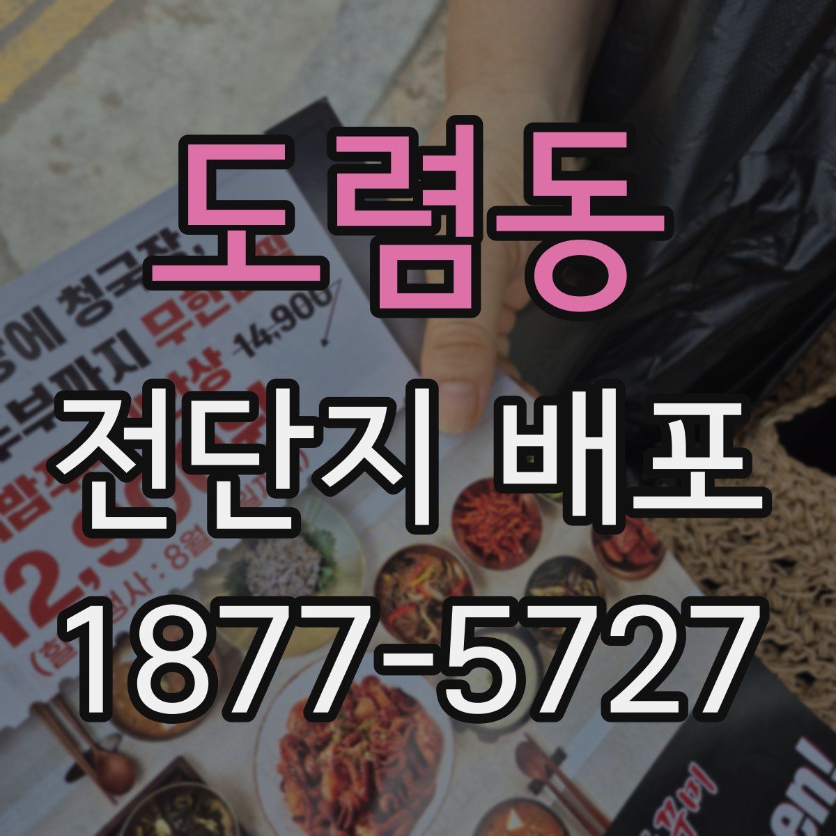 도렴동 전단지 배포