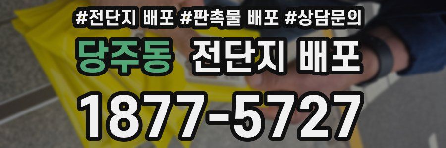 당주동 전단지 배포