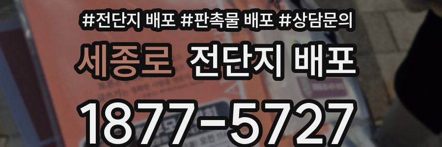 세종로 전단지 배포