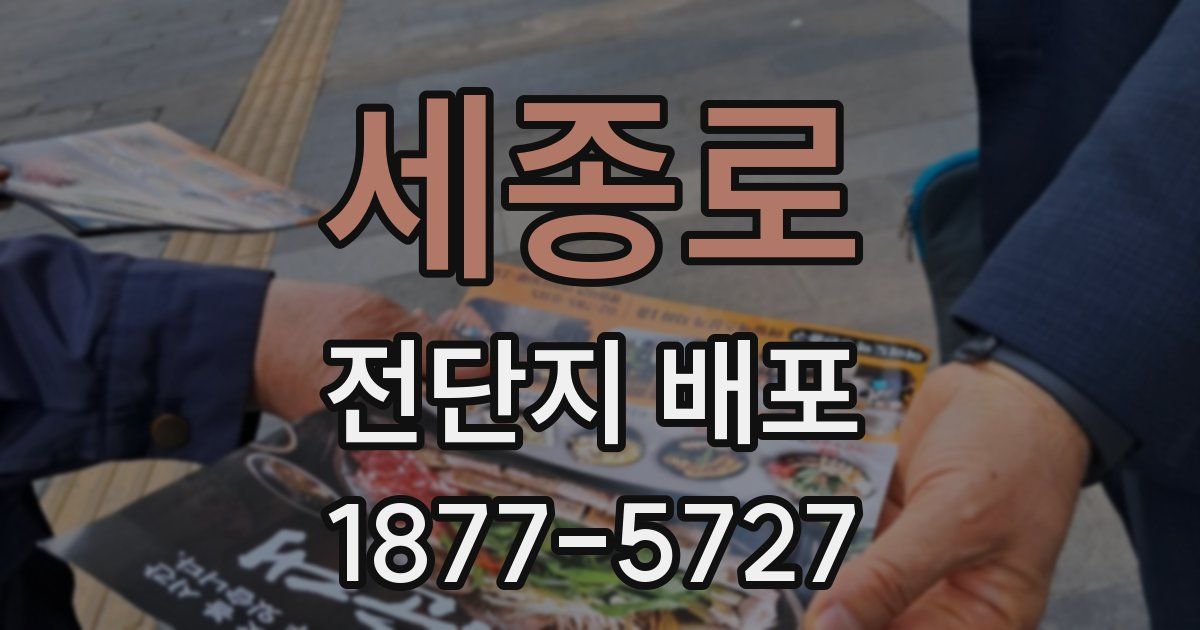 세종로 전단지 배포