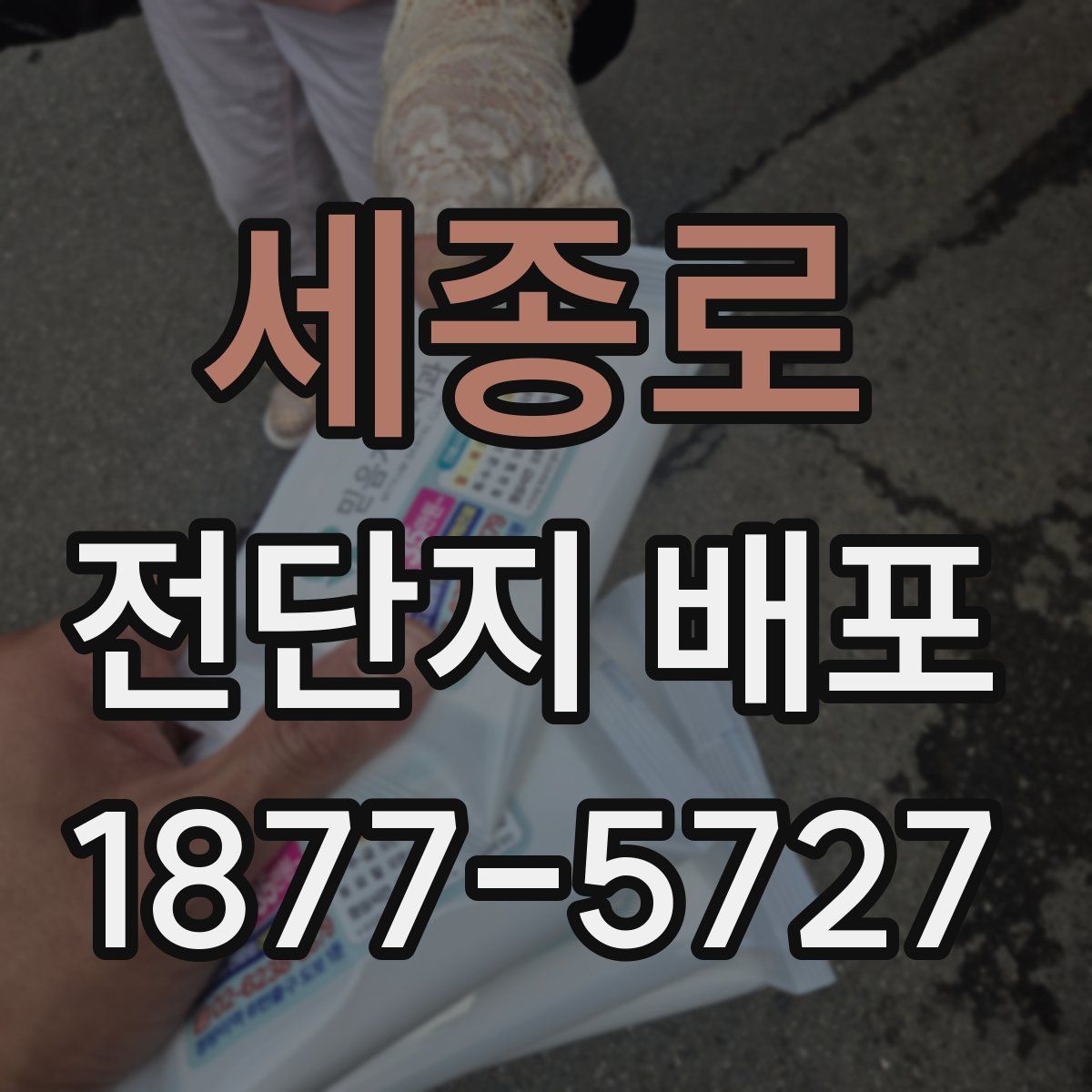 세종로 전단지 배포