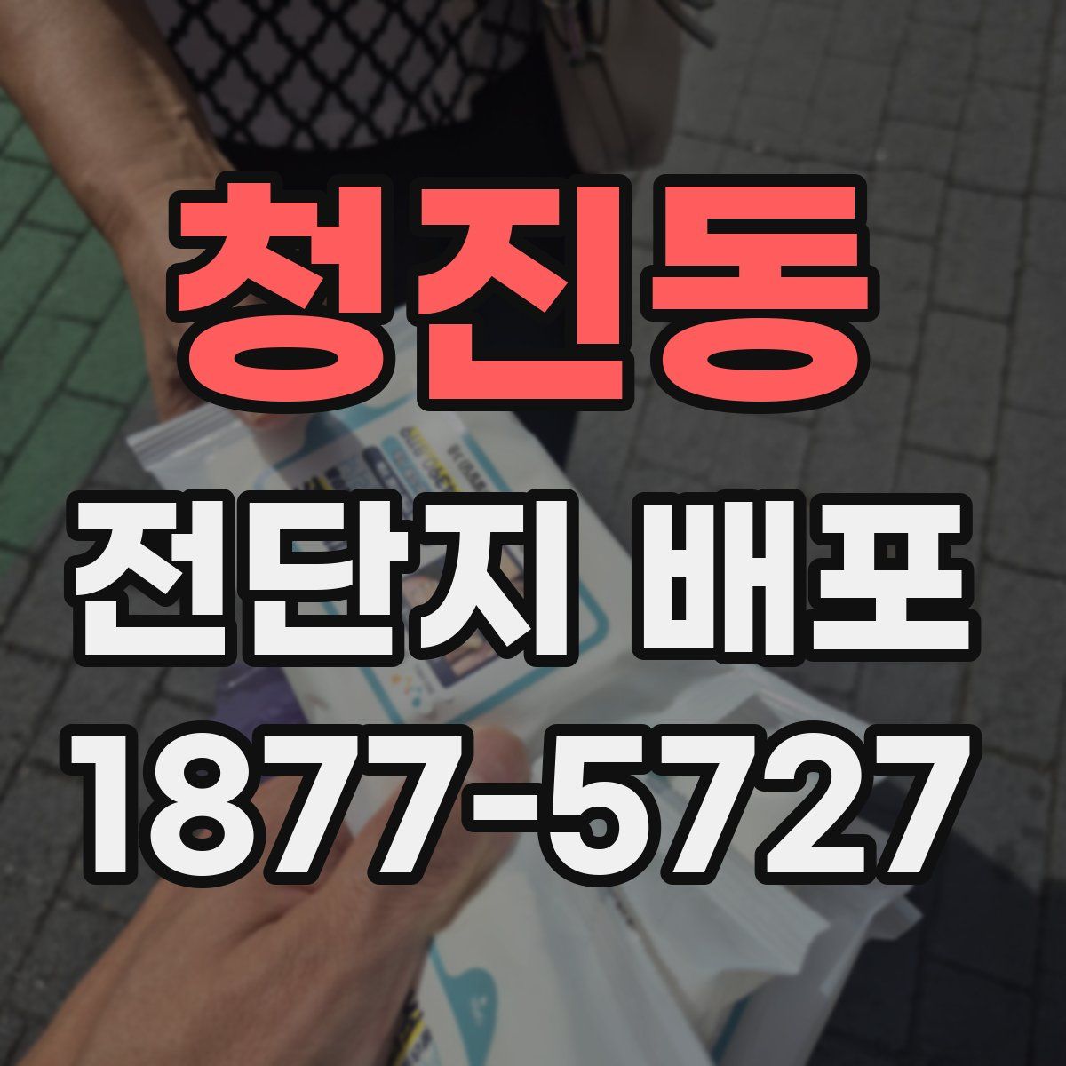 청진동 전단지 배포