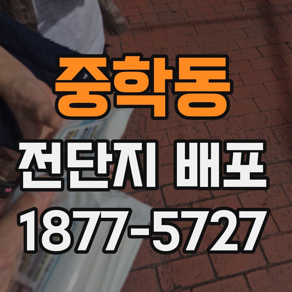 중학동 전단지 배포
