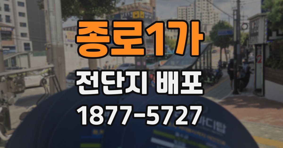 종로1가 전단지 배포