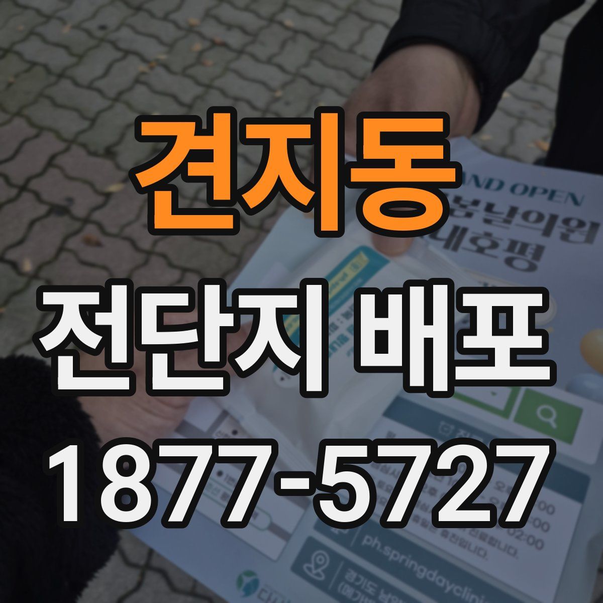 견지동 전단지 배포