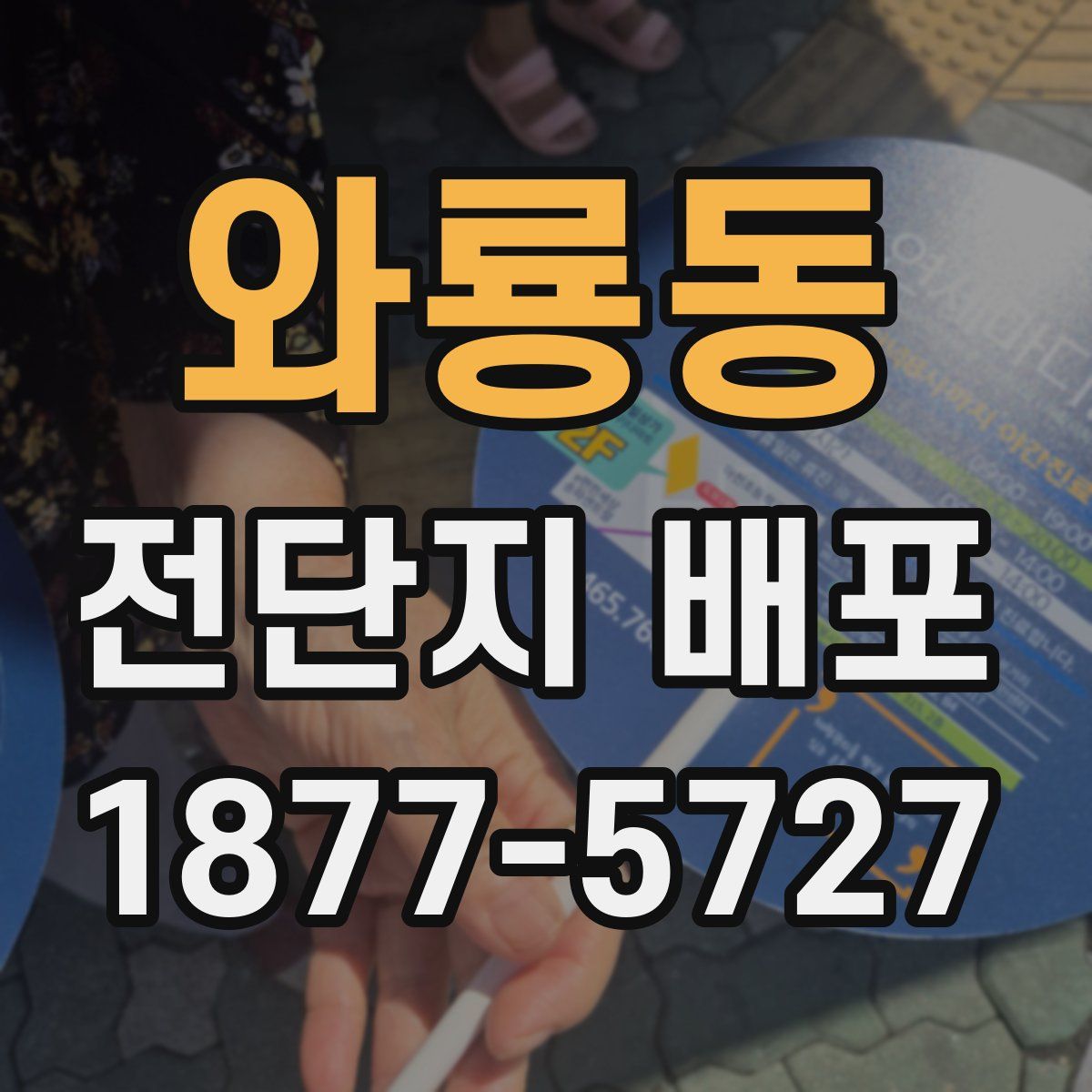 와룡동 전단지 배포