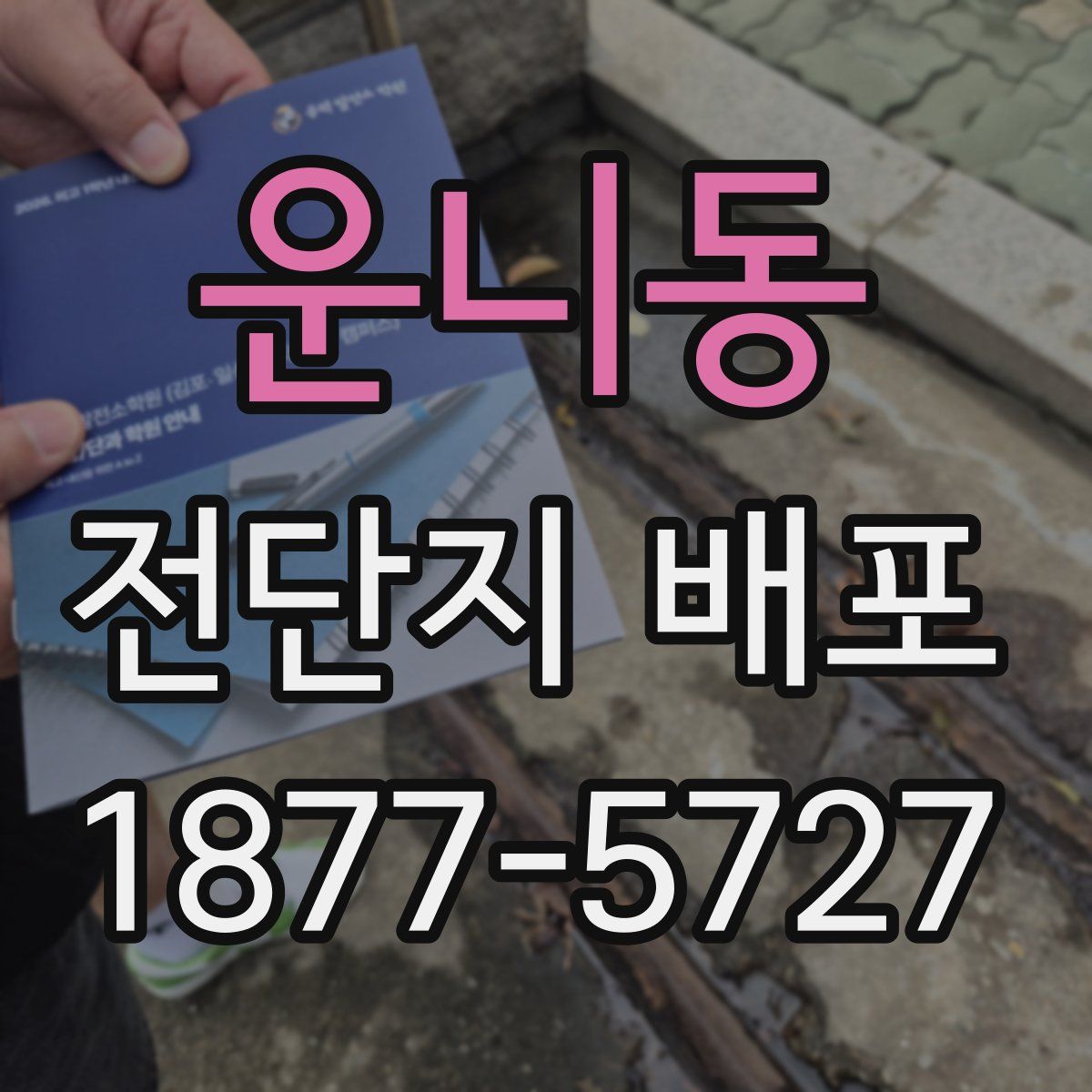 운니동 전단지 배포